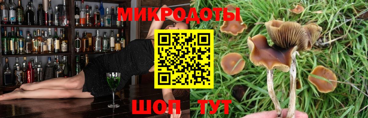 Псилоцибиновые грибы GOLDEN TEACHER  Вход с VPN  Унеча 